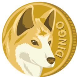 dingo