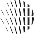 Opinion Labs-icon-avatar